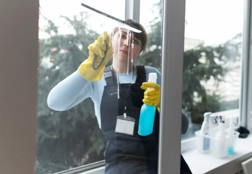 Nettoyage de vitres intérieures et extérieures à Saint-Paul-la-Roche